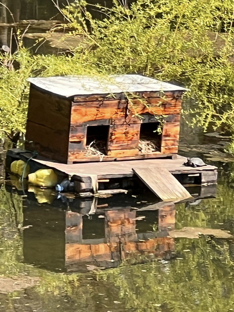 �� ���������� ����� ������� �������� ������