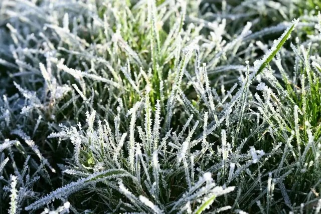 ��������� �� �������� ����. ���� ���� ������ �� ���������������� � �������� ������� �����