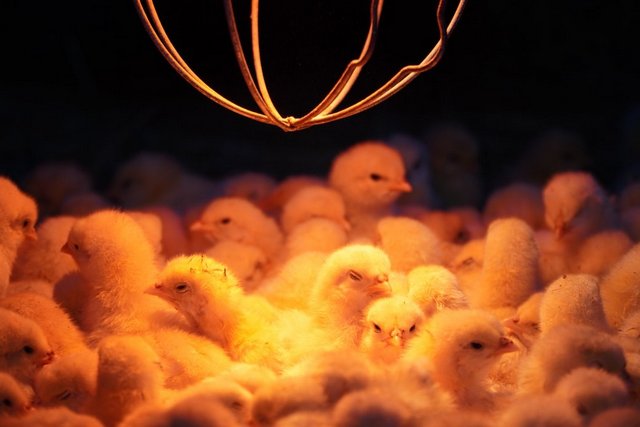 ��� ����� ����� ��� �������� ������� ����� ���������� �������. � ����� �� ���������������� �������� 400 ������