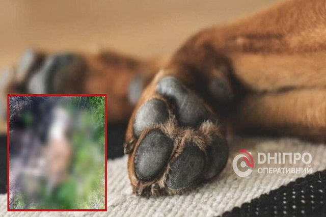 � ������������� ������ ������� ��� ����������� �����: �� ������ � ������