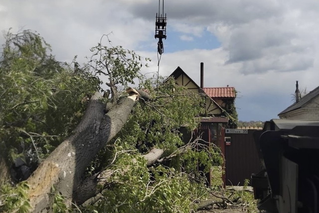 �� ���������������� ���� ������ ���������� ��������� ��������� � 161 ������ �����