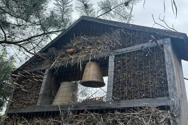 �� �����, ������ � �������. � ���������� ��������� �������-������������������ ������ ������� ��������� ��� ���������