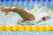 ��������� �������� ������ ��������� ������� �� �������� ����� �������� 