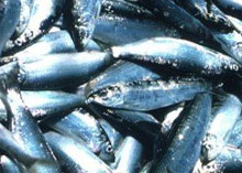 ̳���� �������� 4 ����� ������������� ��������