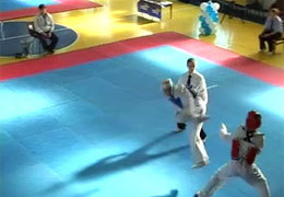 ������� ������ ����������������� �������������