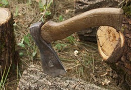 ���� ���������� �� �������������� � �� ������������