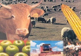 103,3 ��� ��� � ������ ��������� ���������