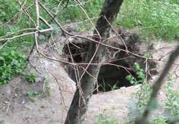 ���������������� ������������ ���������� �����������