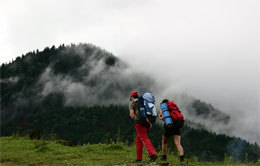 ������� � 11.00 � ������� ������ ����� �������-��� ����������� ��� ��������