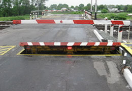 ���������������� �/� ������� ������ �� ������