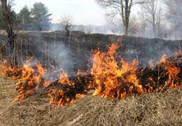 ��������� ��� �� ���������� ���� ����������� �� �������������� �������