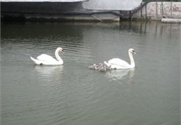 � ����� ������� �� ����� ����� �������� ������ ������� 