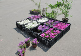 �������� ������ � ����� ��. ������ �����