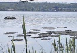 ���� ������ ��������� ������� �� ��������