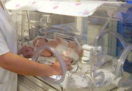 ��������� ���������� ������������� ������� ������� �� ���������