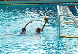 ������������ ��������� �������� ����� ���������� �������