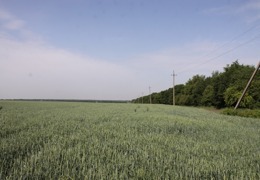 ������� �������� �������� �������� � ������� ����� ���������� ������������ �����