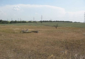 ������ � ����� ����������� � ��������������� ��������� ����� � 5 ���