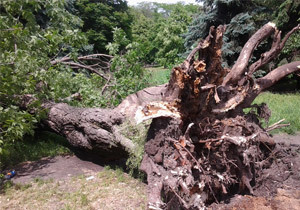 �� ��������������� ������, ����� ������� ������� �������� � ����������������