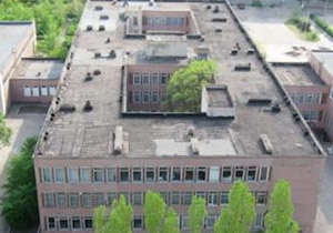 �������� � ������ ������� � �������� 39 ���������������� �� ������������