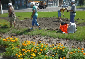 ���� ������� � ���������������� - ������� ���� 