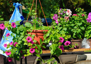 � ���������������� ������� ������� �� ������� ����� ������