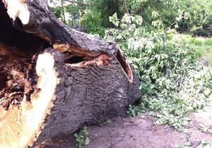 200-������ ��� ������ �������� ����������