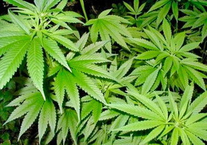 � ���������������� �� ���� ���������� �������� ����������� �������