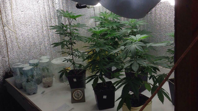 ��������� ������ ��������� ������ � ����������������