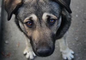 � ���������������� �������� ����� ��� ��������� ��������  � ������ ����� �� ���������� �������� ��������