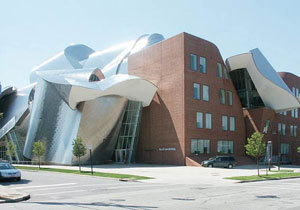 ������ � ������� �����������: ����� ���