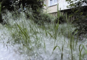 ����������� �������� ����������, ��� ����� ����� �������� �� ���������� ����