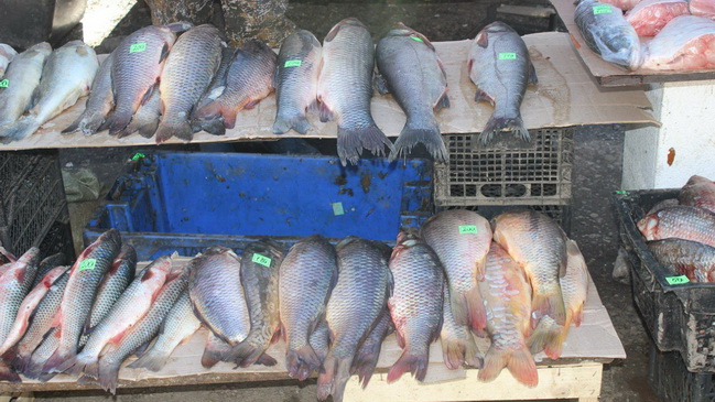 �� ����� ���������� ��������� ��������� �����