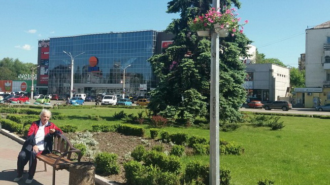 Кам`янське прикрашають квітами