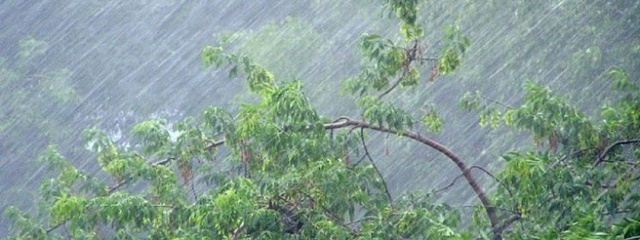 �� ���������� ������� ��������� ��������� ��������������