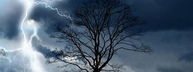 � ���������������� ������� �� ������ � 14 �� 15 ��� ��������� ��������� ��������������