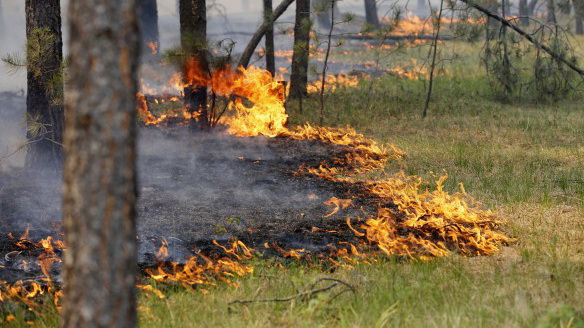 � ��������� ����� ���