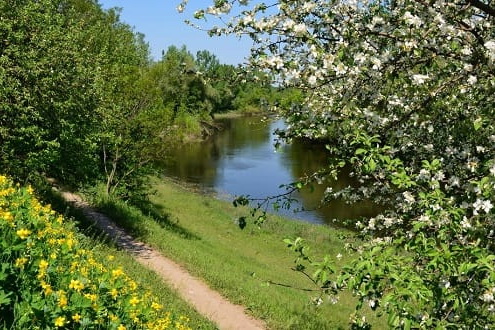 Какой будет погода в Днепре на этой неделе?