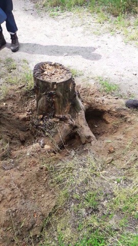 � ������ ��������� ������ ��� � ������� ��������