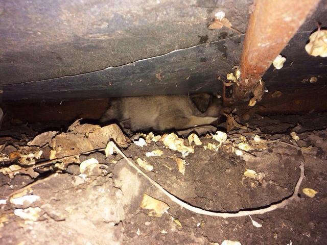 � ������ ���������� ������ �������� �101� ���������� ����� �� ������� � ����� ���� � ������