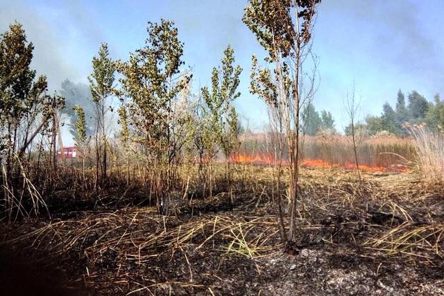 �� ���������������� �������� ������������� ���������� ����� ����� �� ������� 1 ��