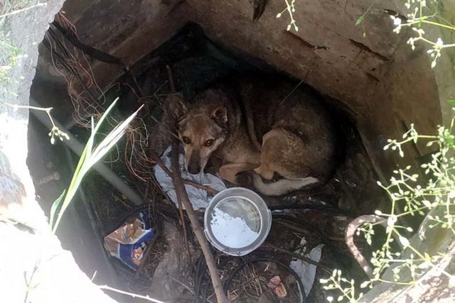 ����������� ��������� ������� ������ �� ���������������� �������