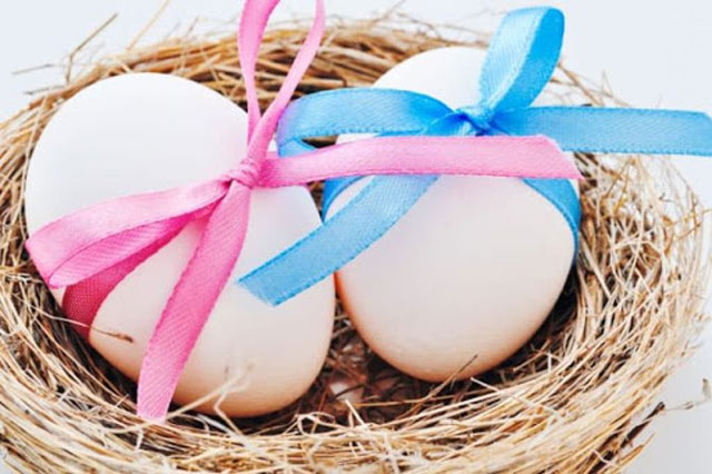 �������: ���������, ����������, �������, ����������