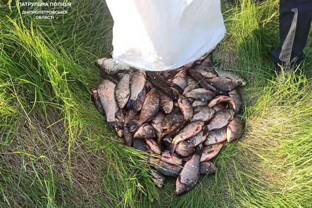 Браконьеры выловили 110 карасей на 177 тысяч грн