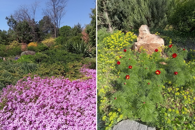 ������ ������ ����� ������� ����������� ����� � ���������