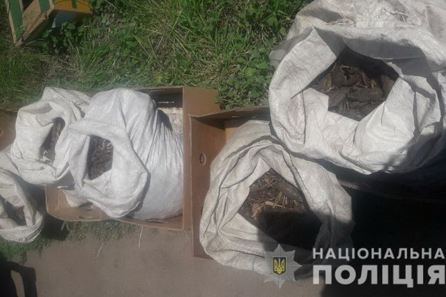 На Дніпропетровщині браконьєри виловили 80 кг раків на 14,6 млн гривень