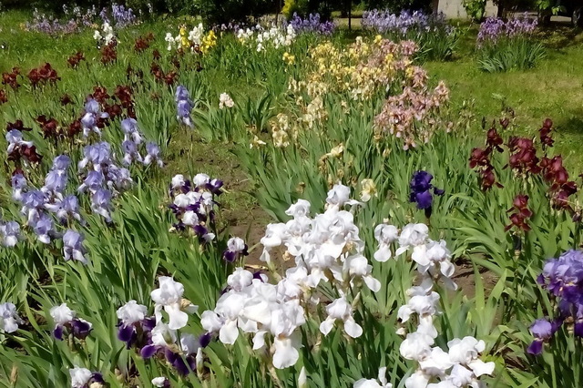 Ботсад Днепра приглашает в гости!