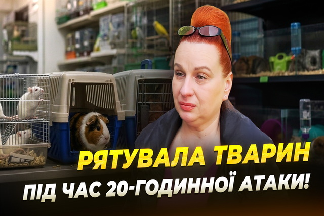 ���� ������ ���� � �������: ��� ����������������� ���������� � �������-����� ����� �������������� �����