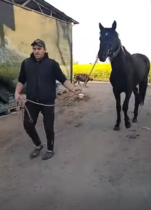 �� ���� ������ �������� � ����������� ����� ������������ ����