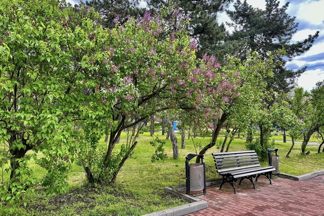 �������� ���������, ����� � �����: ����� ����� ������ �� ���������������� � 12 �� 16 ���